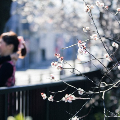 MTワークスが出張撮影した「ファミリー」の家族写真