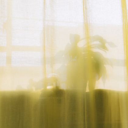 MIFUNEが撮影したウェディングや家族、ビジネスの写真