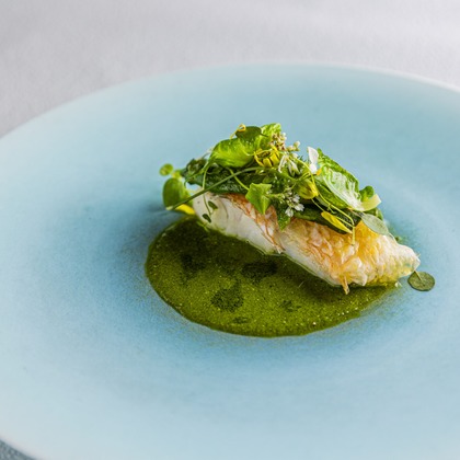 後藤拓海が撮影したウェディングや家族、ビジネスの写真