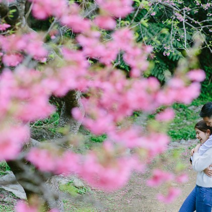 Koji Nishida Photographyが撮影した「:albumName」の写真