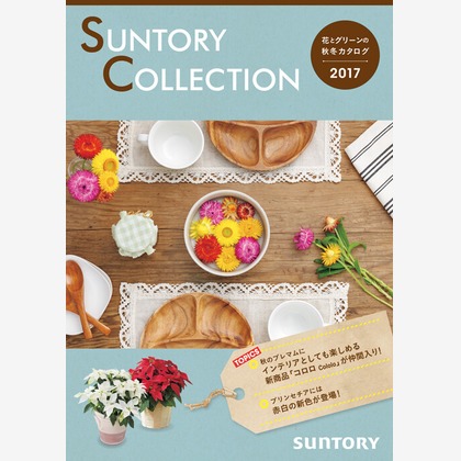 有限会社　澤田スタジオが撮影した「:albumName」の写真