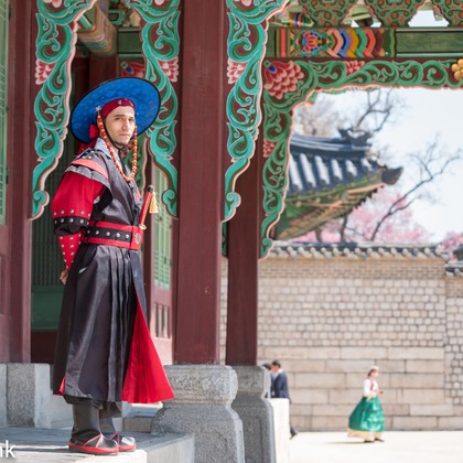 Photo Linkが撮影したウェディングや家族、ビジネスの写真