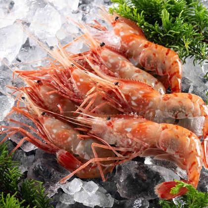 株式会社DAVINCI-Developmentが撮影した料理撮影の写真