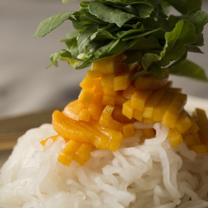 白井由香里写真事務所が撮影した「:albumName」の写真