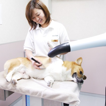 森安　照が撮影した「:albumName」の写真