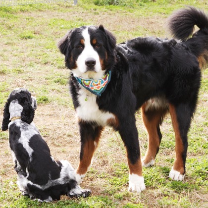 森安　照が撮影した「:albumName」の写真