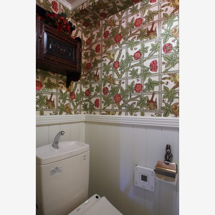 森安　照が撮影した「:albumName」の写真