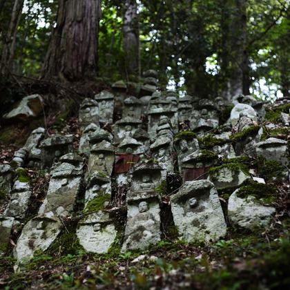 写真屋gonree　阿波根里恵が撮影した不動産/竣工の写真