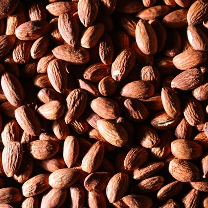 syukocが撮影した「:albumName」の写真