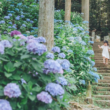 多田正子が撮影した「:albumName」の写真