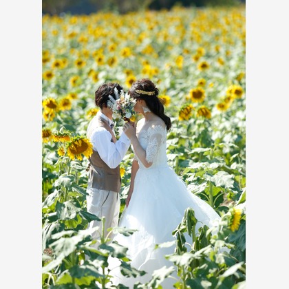 フォトスタジオ　ファータ（武田 渉）が撮影した「:albumName」の写真