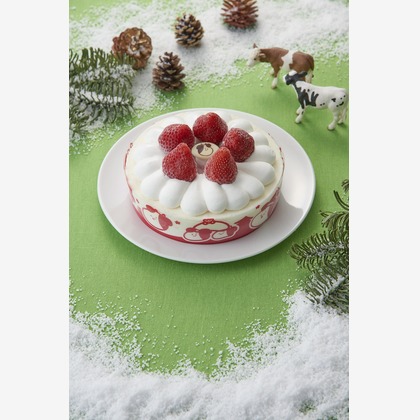 st.calmarが撮影した「:albumName」の写真