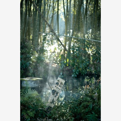 SHO HASEGAWAが撮影したその他/人物撮影の写真