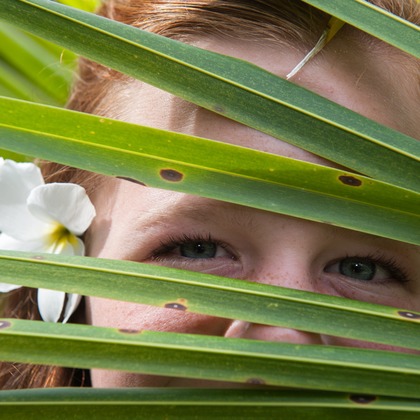 サムシングブルーが撮影した「:albumName」の写真