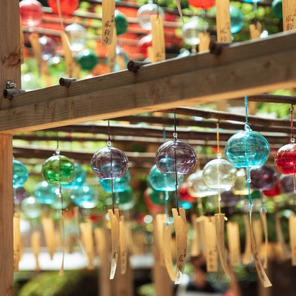 三谷 朋也が撮影した「:albumName」の写真