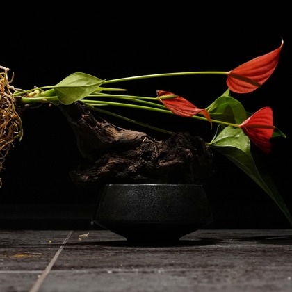 UKPHOTOが撮影した商品/物撮り/人物撮影の写真