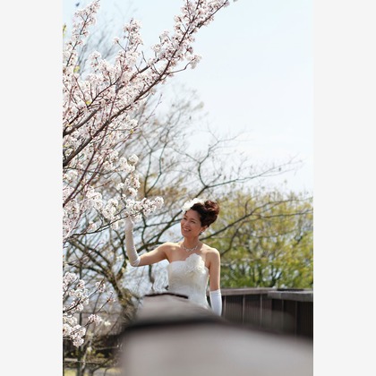 セリエドレッシングが撮影したウェディングや家族、ビジネスの写真