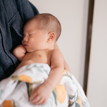植村由理が出張撮影した多年生植物, 花粉, つま先などが写った「マリちゃん」の家族写真
