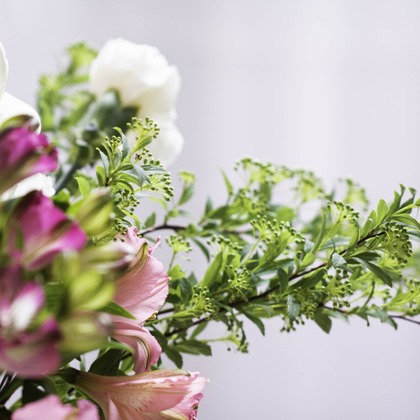 ミヤタカズコが撮影した「:albumName」の写真