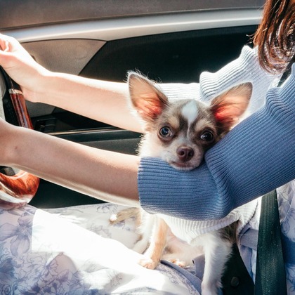 ポートレート沖縄が撮影した「:albumName」の写真