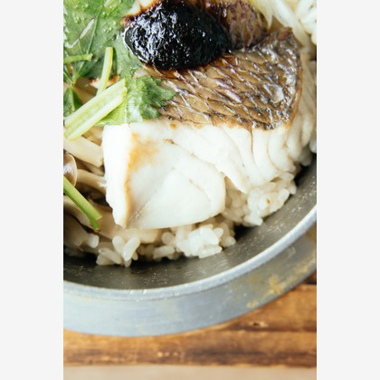 Aurora Photographyが撮影した「:albumName」の写真