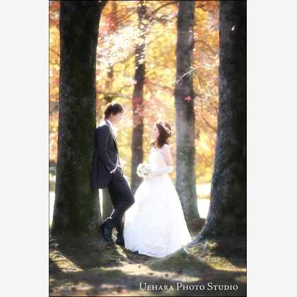 上原フォートスタジオが撮影したウェディングや家族、ビジネスの写真