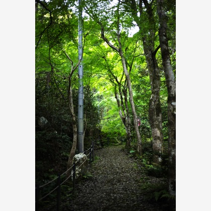 写真屋gonree　阿波根里恵が撮影した不動産/竣工の写真