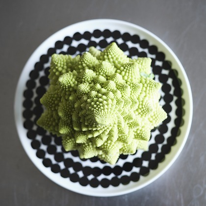 濱田茉里が撮影した料理撮影の写真