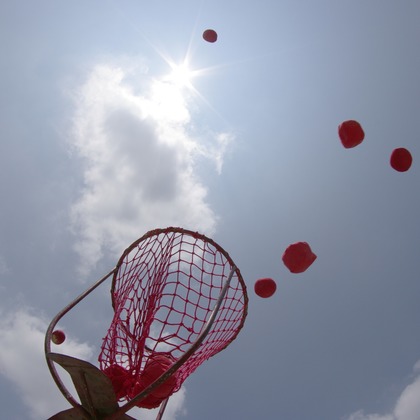 ハギワラトモヒトが撮影した学校行事の写真