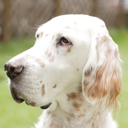 森安　照が撮影した「:albumName」の写真