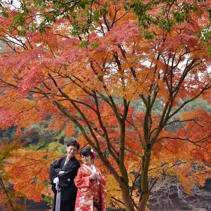 キキフォトワークスが撮影した「:albumName」の写真