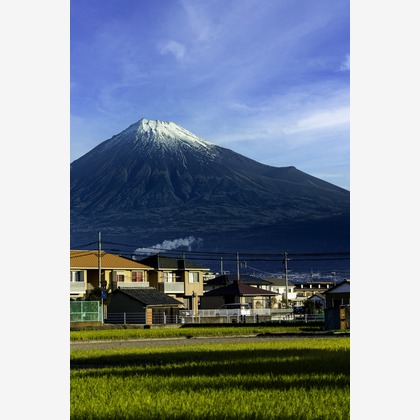 スタジオファンタスが撮影した「:albumName」の写真