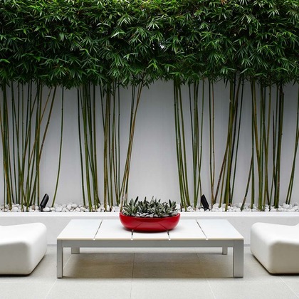 シドニー・クリエイティブフォトグラフィーが撮影した「雑誌、広告、景色、カタログ、人物、芸能人等」の写真