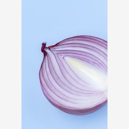 Hiroが撮影した「スタジオ、出張撮影」の写真