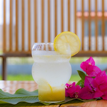 山口写真事務所が撮影した「:albumName」の写真