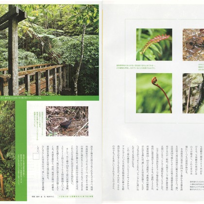 鈴木圭が撮影したその他の写真