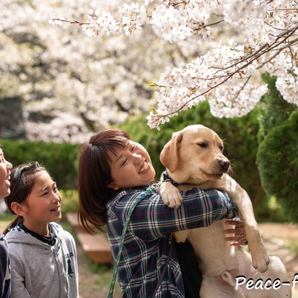 Peace-full photoが出張撮影した「かぞくの時間」の家族写真