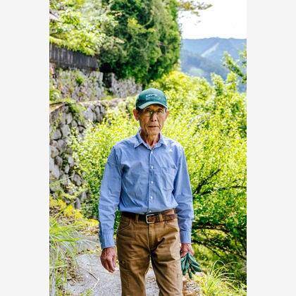 MIFUNEが撮影した「:albumName」の写真