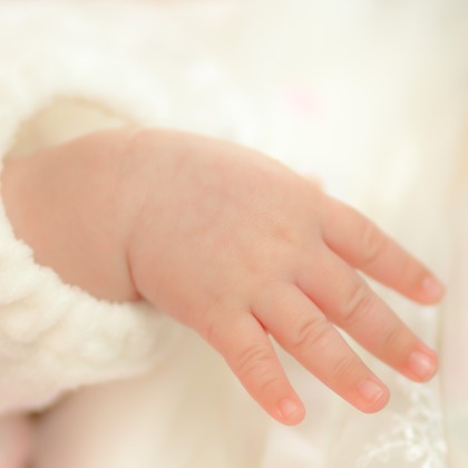 合同会社Joy Stormが撮影した「:albumName」の写真