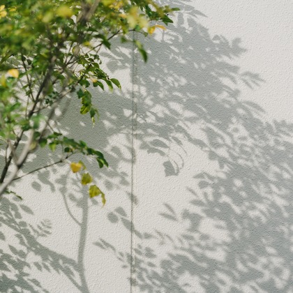 muikkuが撮影した結婚式撮影の写真