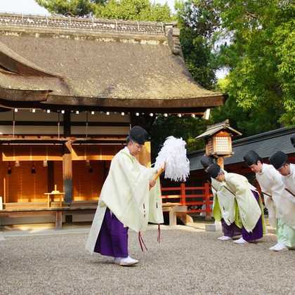 河野慈圓が撮影した「:albumName」の写真