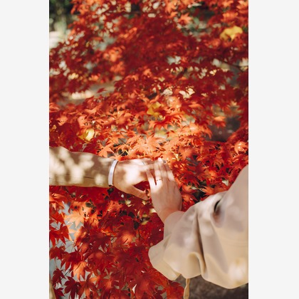 藤内誠一郎が撮影した「:albumName」の写真