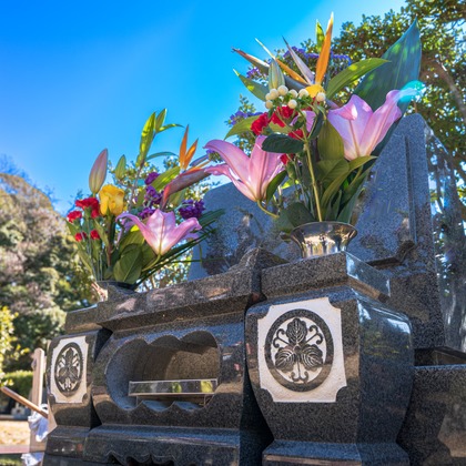 高木勇斗が撮影したその他の写真