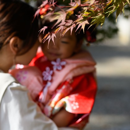 北野隼人が撮影した「:albumName」の写真