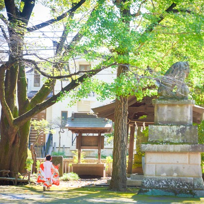 池田尚史が撮影した「:albumName」の写真