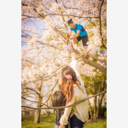 出張撮影　ビンコロ堂が撮影したウェディングや家族、ビジネスの写真