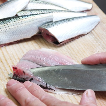 森安　照が撮影した「:albumName」の写真