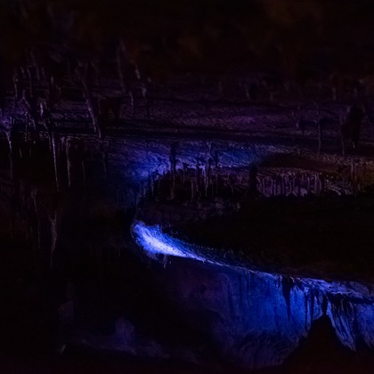 フォトスタジオ　ちっくたっくが撮影したその他の写真