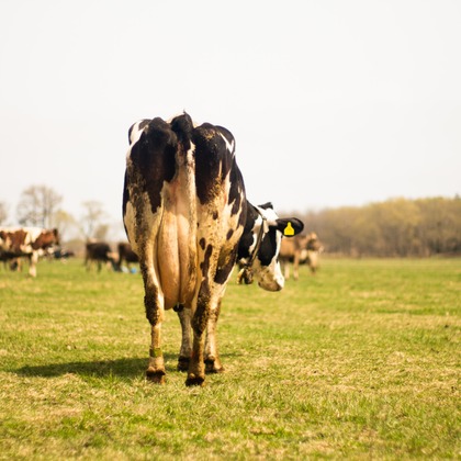 神部葵が撮影した「:albumName」の写真