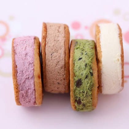 森安　照が撮影した「:albumName」の写真